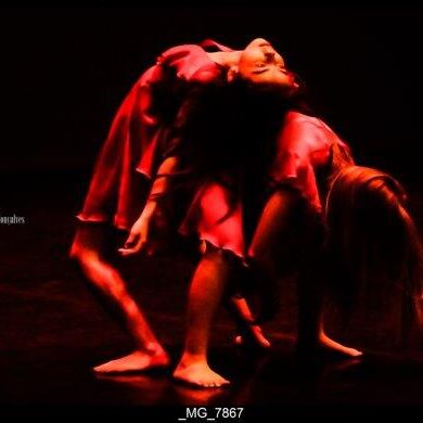 O Reino Magico da Dança 0013