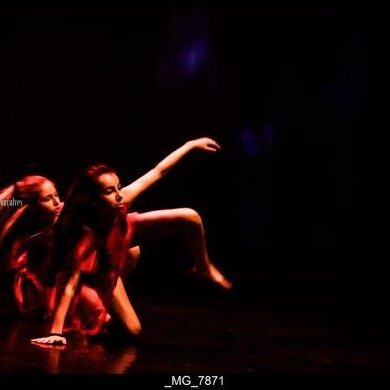 O Reino Magico da Dança 0014