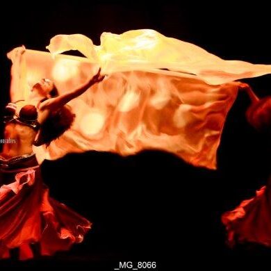 O Reino Magico da Dança 0017