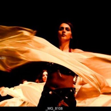 O Reino Magico da Dança 0019