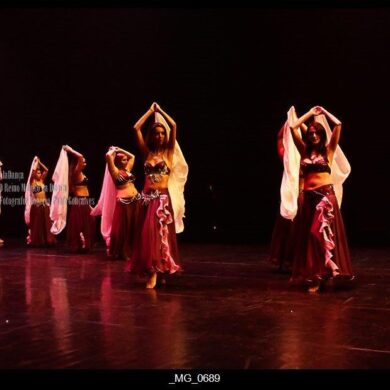 O Reino Magico da Dança 0194