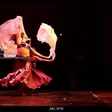 O Reino Magico da Dança 0200