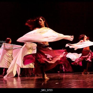 O Reino Magico da Dança 0201