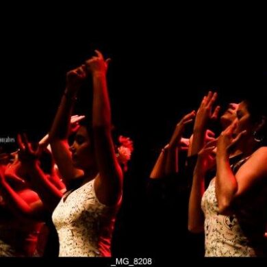 O Reino Magico da Dança 0021