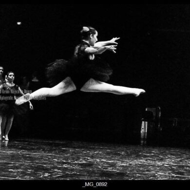 O Reino Magico da Dança 0212