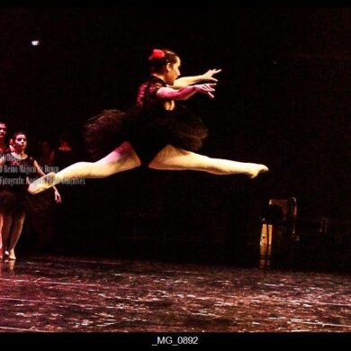 O Reino Magico da Dança 0213