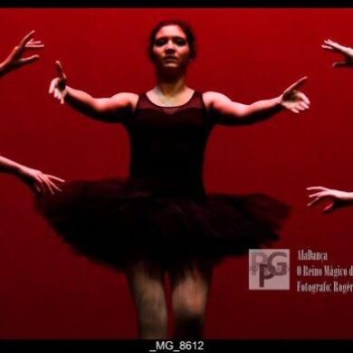 O Reino Magico da Dança 0028