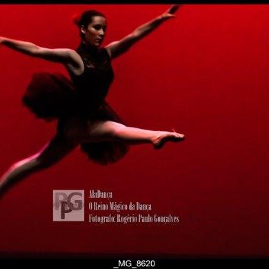 O Reino Magico da Dança 0029
