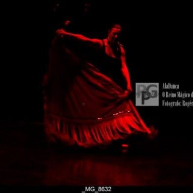 O Reino Magico da Dança 0031