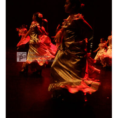 O Reino Magico da Dança 0577