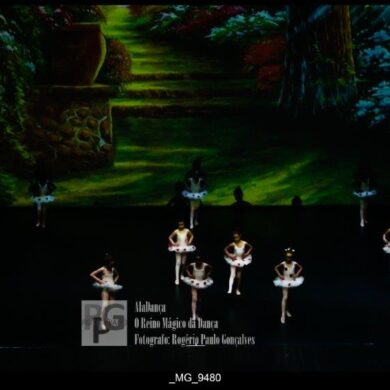 O Reino Magico da Dança 0066