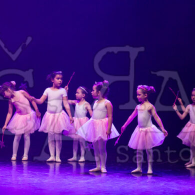 Ai!aDança em Festa 072