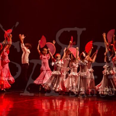 Ai!aDança em Festa 078