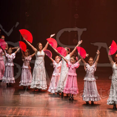 Ai!aDança em Festa 214