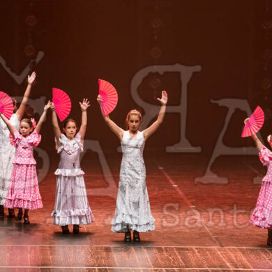 Ai!aDança em Festa 215