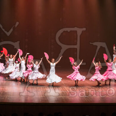 Ai!aDança em Festa 222