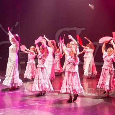 Ai!aDança em Festa 233