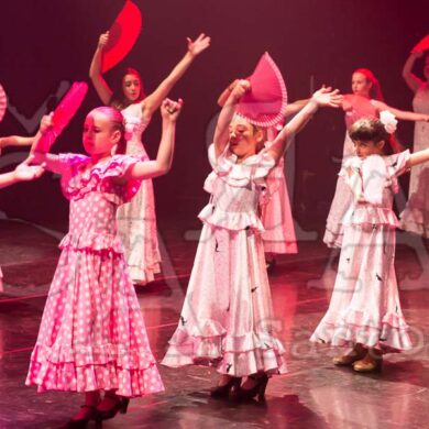 Ai!aDança em Festa 237