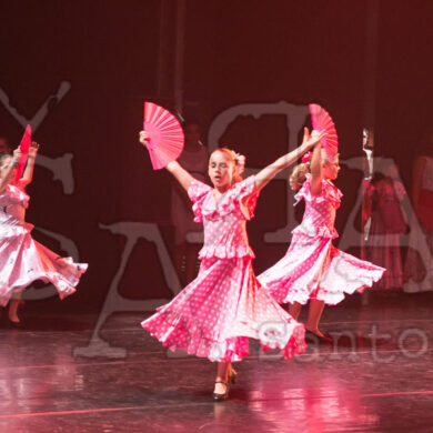 Ai!aDança em Festa 240