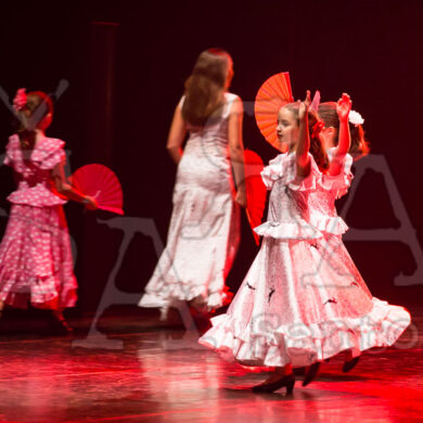 Ai!aDança em Festa 243