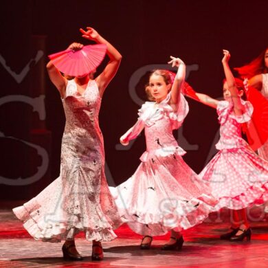 Ai!aDança em Festa 245