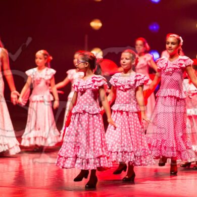 Ai!aDança em Festa 246