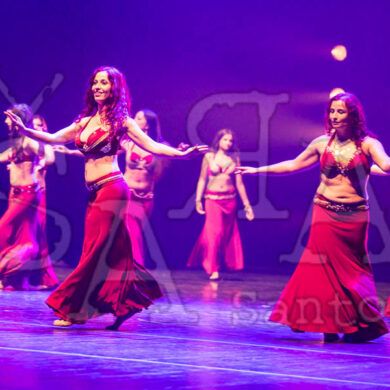 Ai!aDança em Festa 395