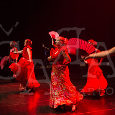 Ai!aDança em Festa 431