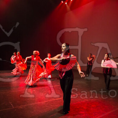 Ai!aDança em Festa 433