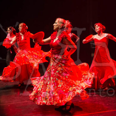 Ai!aDança em Festa 435