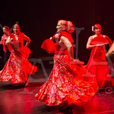 Ai!aDança em Festa 436