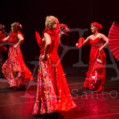 Ai!aDança em Festa 438