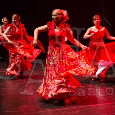 Ai!aDança em Festa 439