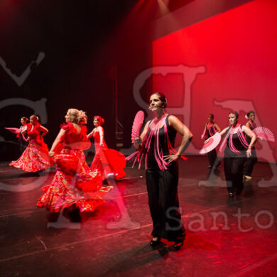 Ai!aDança em Festa 442