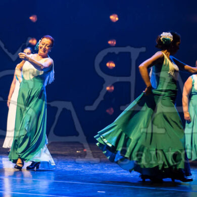 Ai!aDança em Festa 443