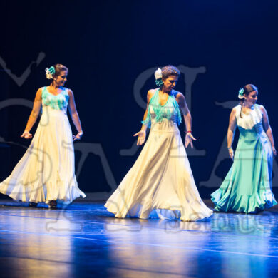 Ai!aDança em Festa 444