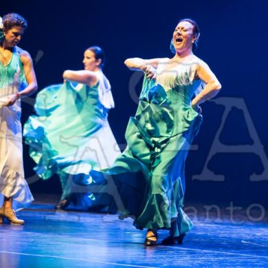 Ai!aDança em Festa 453