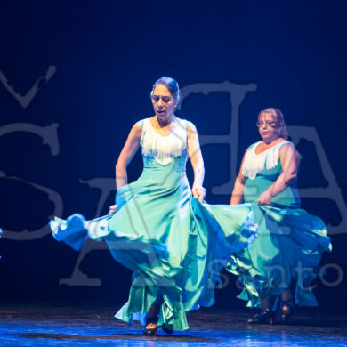 Ai!aDança em Festa 463