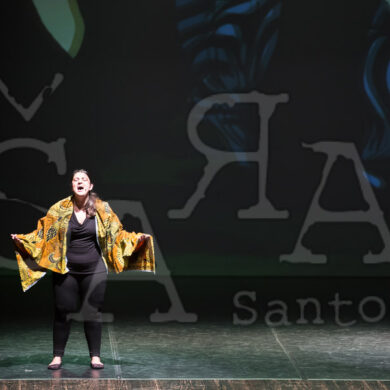 Ai!aDança em Festa 469