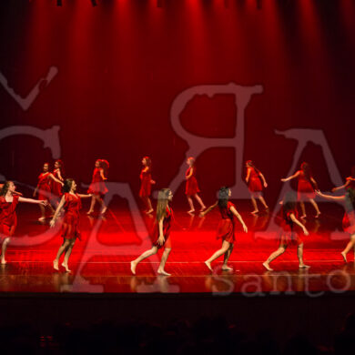 Ai!aDança em Festa 491