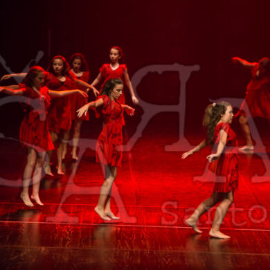 Ai!aDança em Festa 493