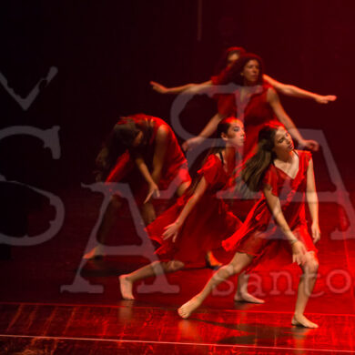 Ai!aDança em Festa 494