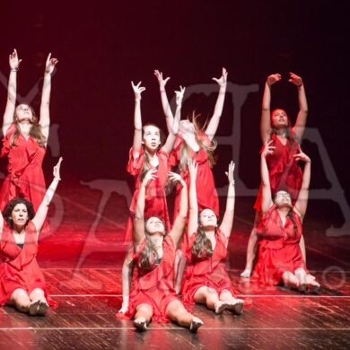 Ai!aDança em Festa 517