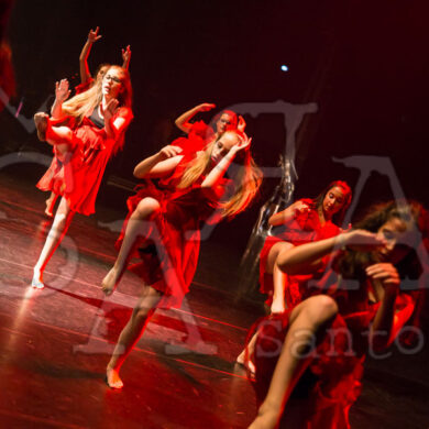 Ai!aDança em Festa 524