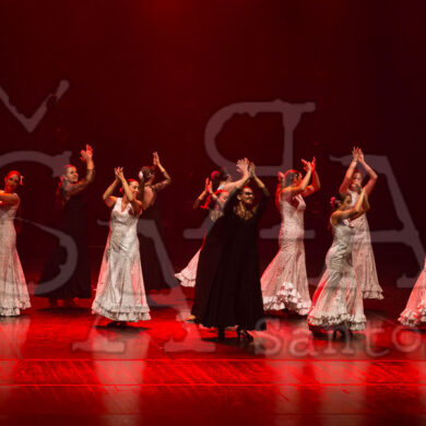 Ai!aDança em Festa 652