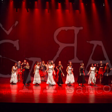 Ai!aDança em Festa 655