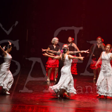 Ai!aDança em Festa 658