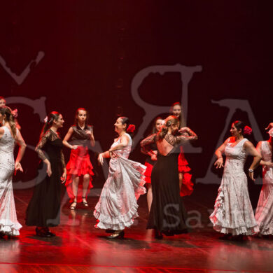 Ai!aDança em Festa 659