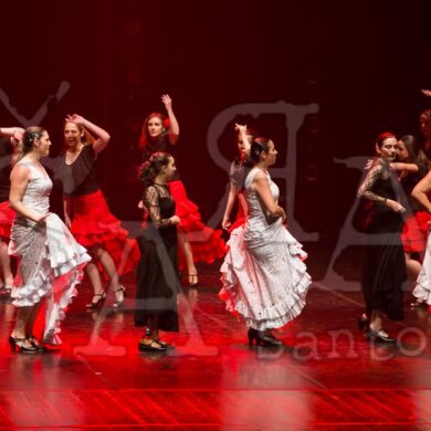 Ai!aDança em Festa 666