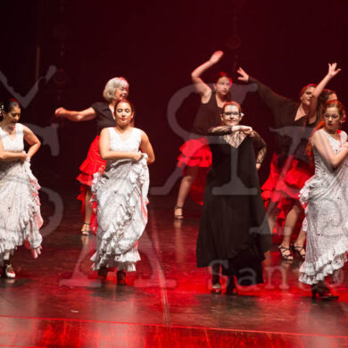 Ai!aDança em Festa 667